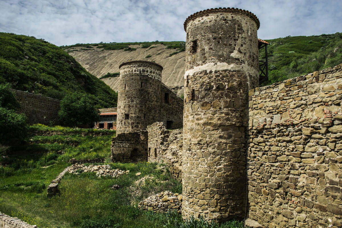 Монастырь Давид-Гареджи. Грузия - Мария Рябкова