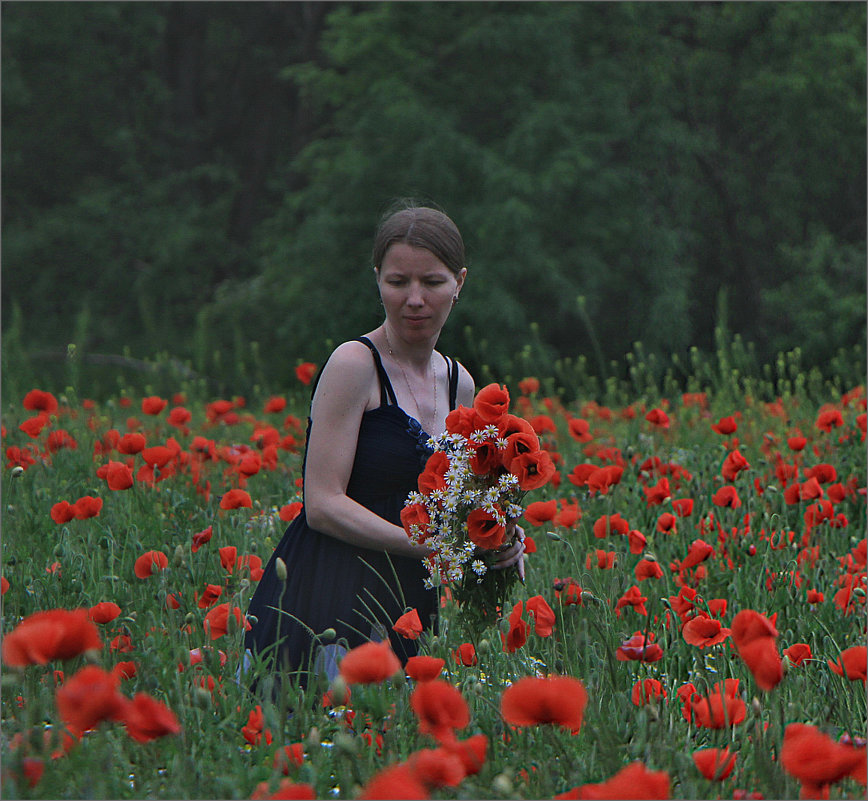 "Красные маки в поле зелёном радуют душу и сердце..." - Ольга Ламзина