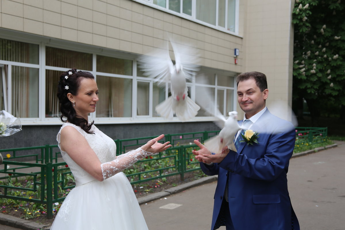 Свадебные голуби - Владимир Карлов