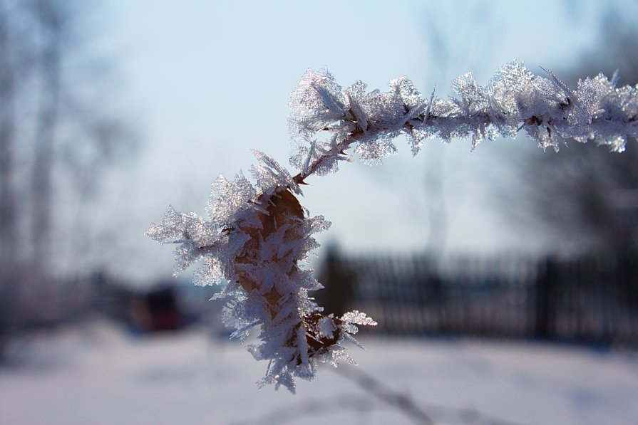 Зима во всей красе - Дмитрий Ховрин