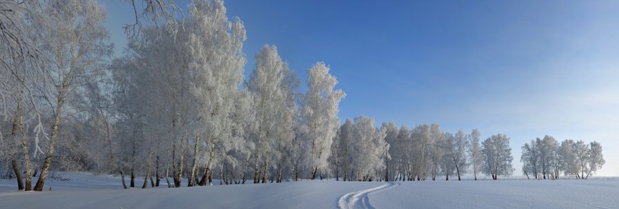 Зимняя панорама - Николай Мальцев