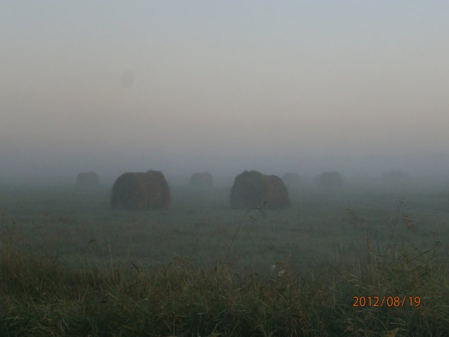 туман в поле - Виктория Семенова