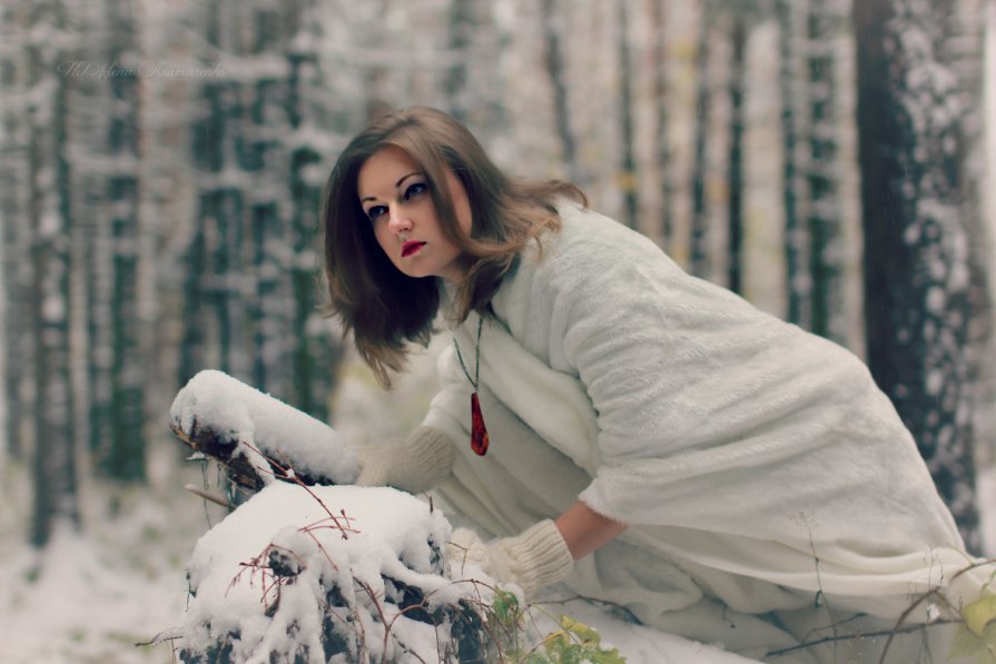 snowgirl - Alena Kramarenko