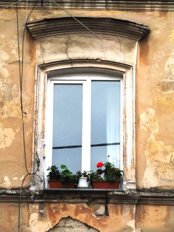Окно и цветы - AV Odessa