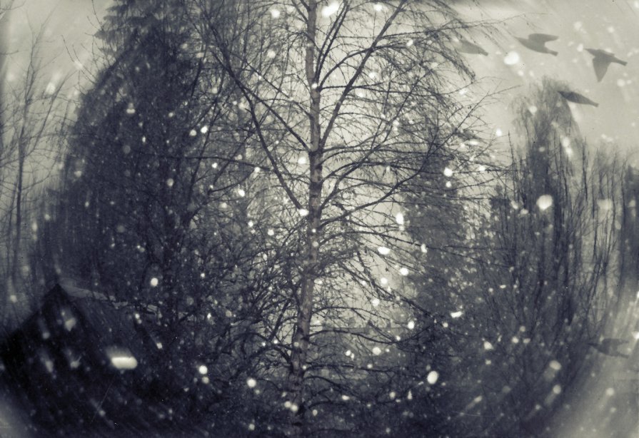 Кружит снежок - Ирэна Мазакина