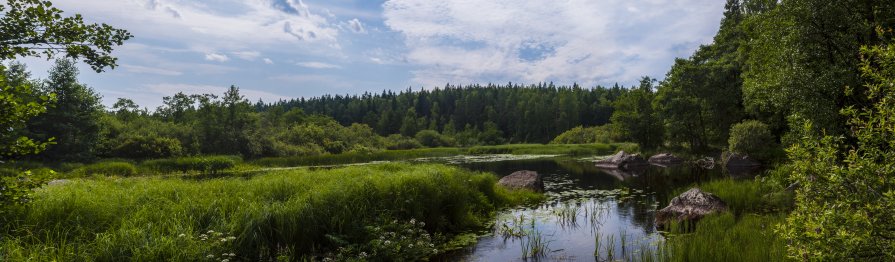 forest Lake - Александр Голубев