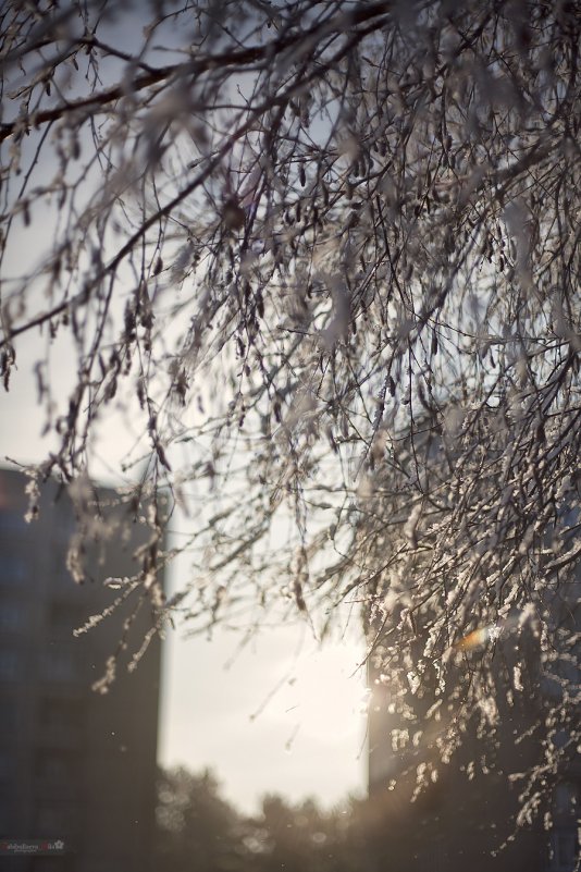 25.11.2012 год, город Ангарск - Людмила Габибуллаева