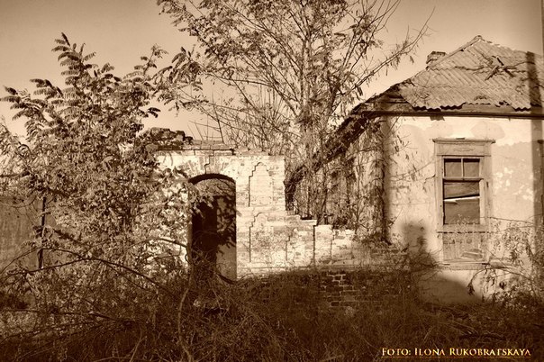 старый дом - Илона Рукобратская