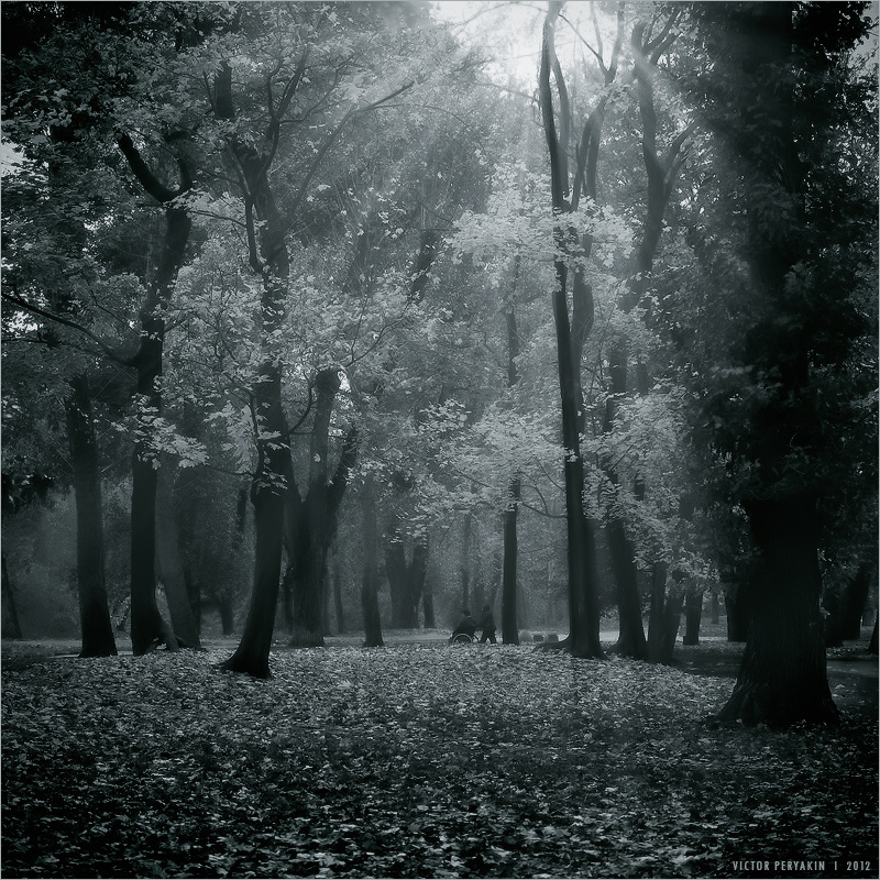 Осень в парке - Виктор Перякин