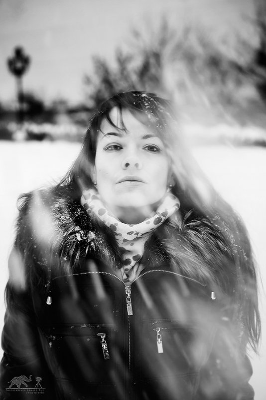 Зимний портрет - Эдуард Альт