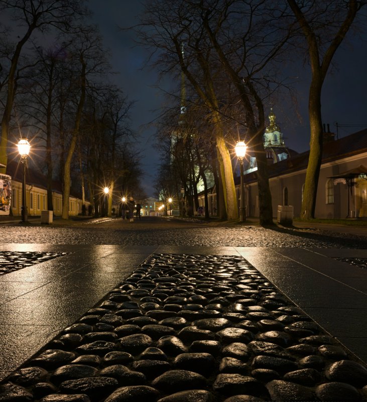 Булыжная Петропавловская крепость