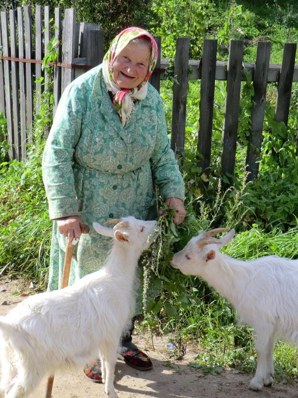 Бабушка и козы... - Владимир Павлов