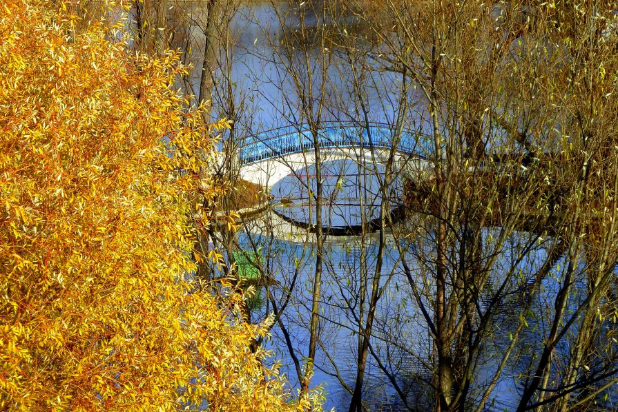 ОСЕНЬ,МОСТ, ПРУД - Юрий Вовк