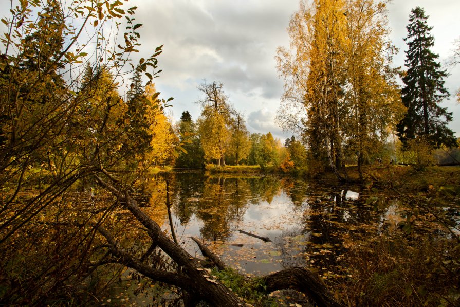 Осенний пейзаж. - Анна Тихомирова