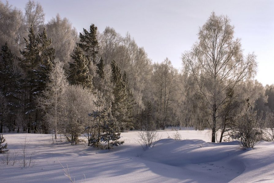Зимний пейзаж - Виктор Ковчин