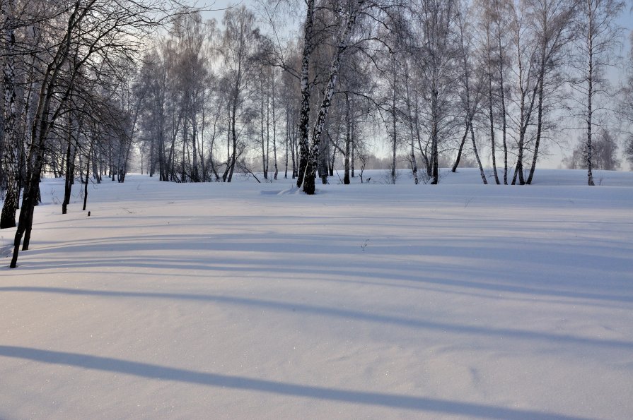 Утро на зимней поляне - Николай Мальцев