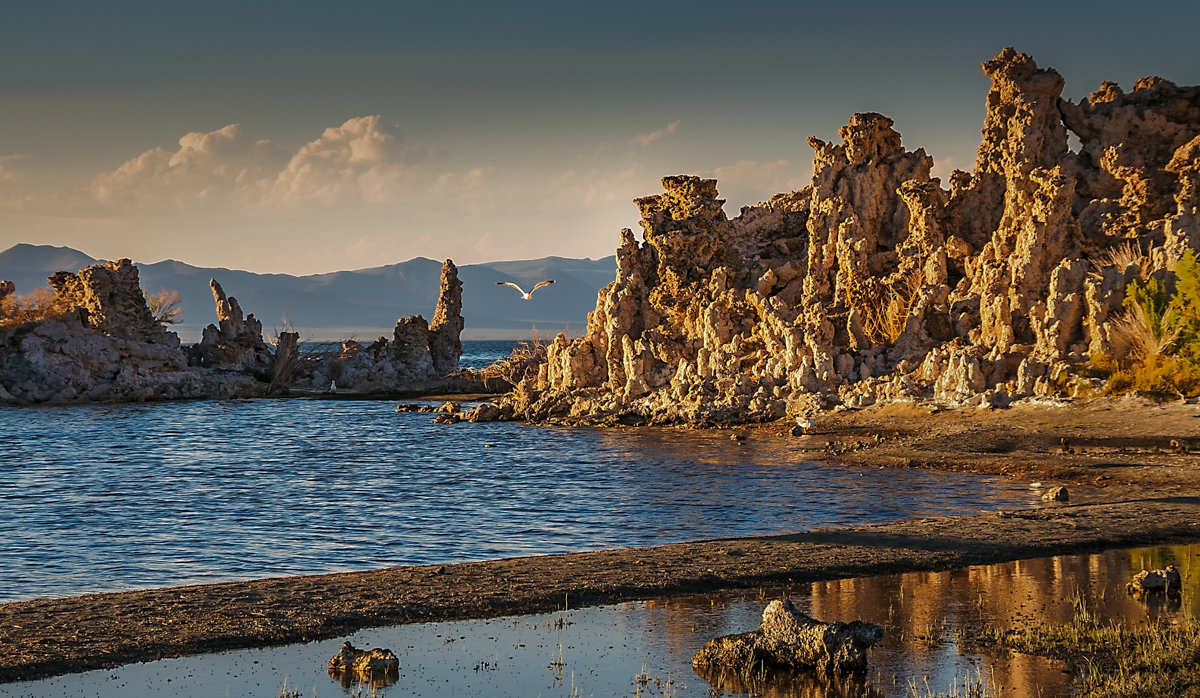 Mono Lake - Gregory Regelman