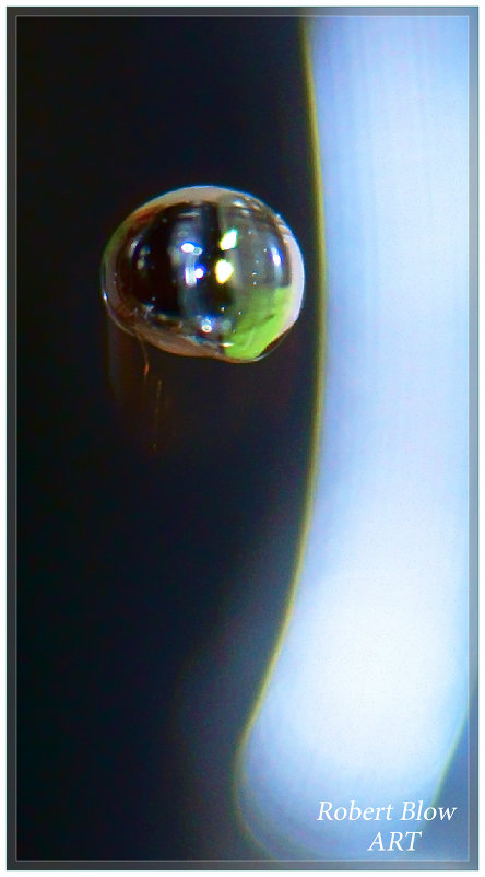 Портрет Капли Воды на черном фоне - Bob Blow