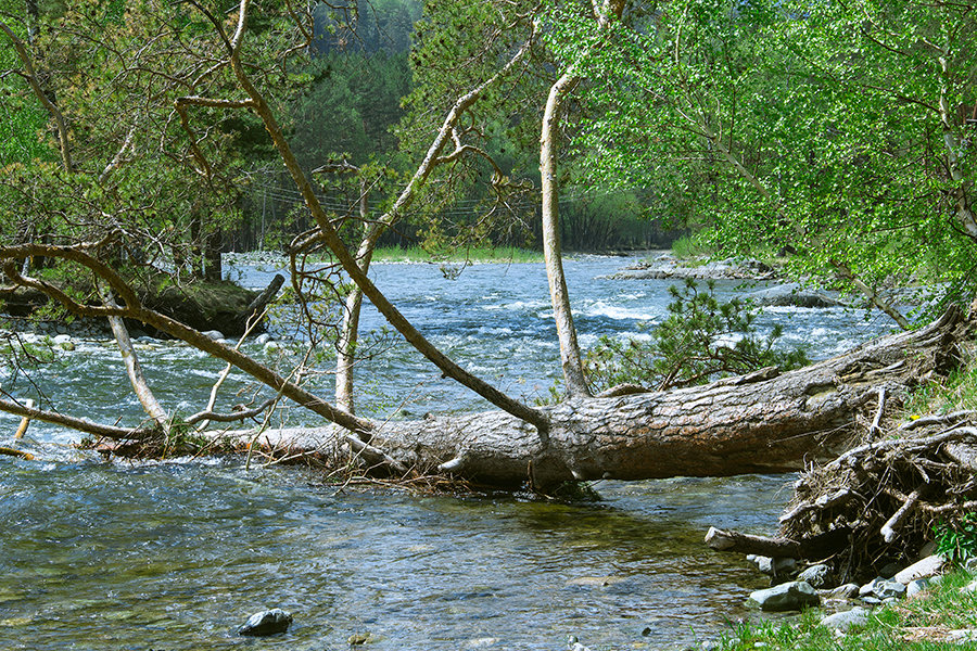 река КубА - Viktoriya Balaganskaya