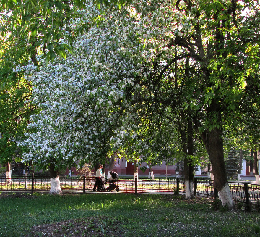 *** - Валентина Береснева