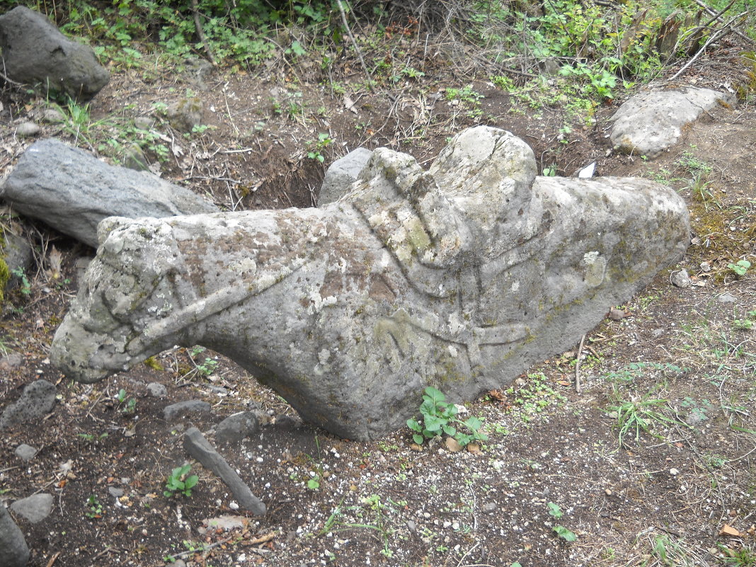 Грузия Тетрицкаро. Средневековый надгробный камень - Arusia Davrisheva