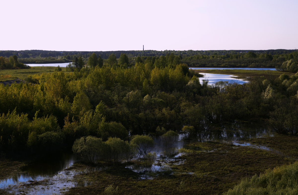 Берег реки Сысола - Виталий Житков