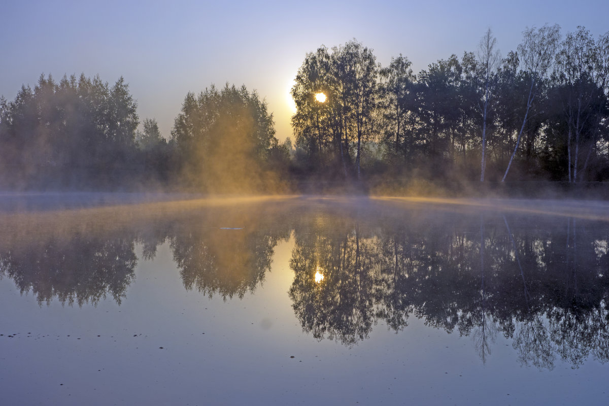 Туман на пруду - Алексей Окунеев