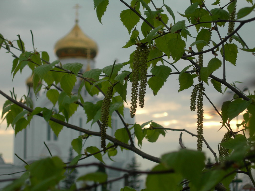 Рассвет - Марианна 