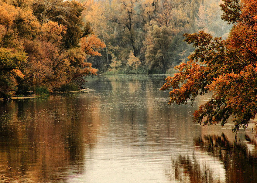 Река. октябрь - Людмила Селегенева