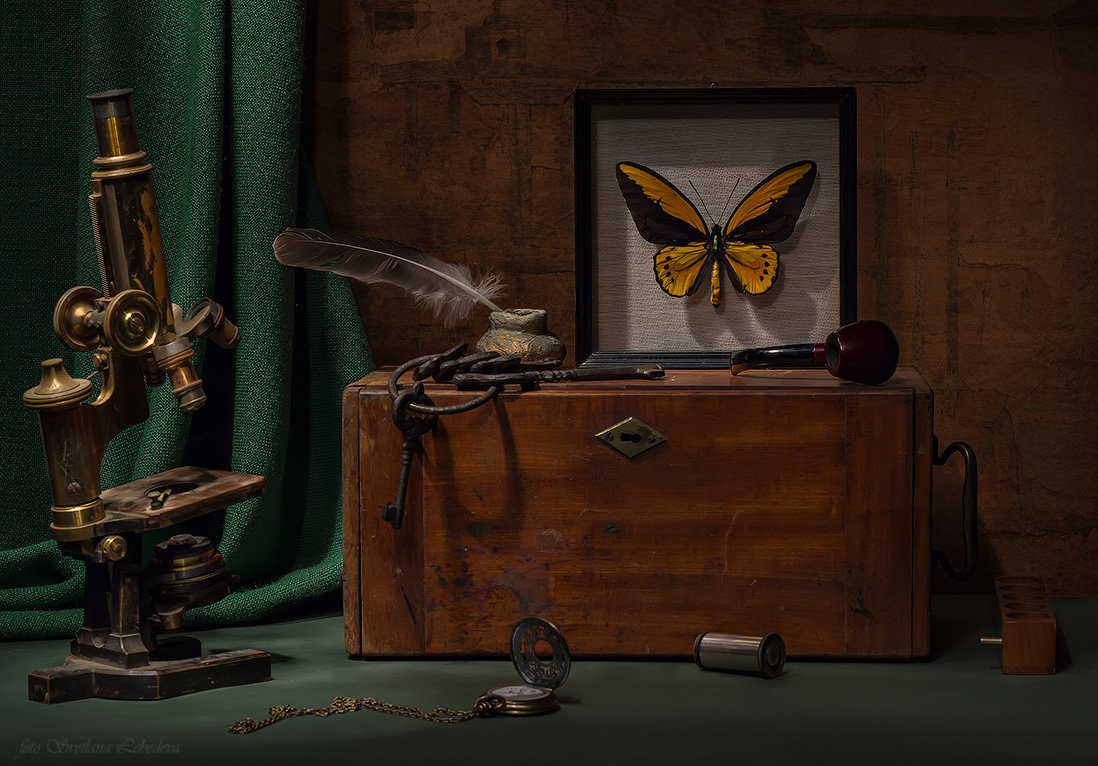 Учёный натюрморт с микроскопом и бабочкой - Светлана Л.