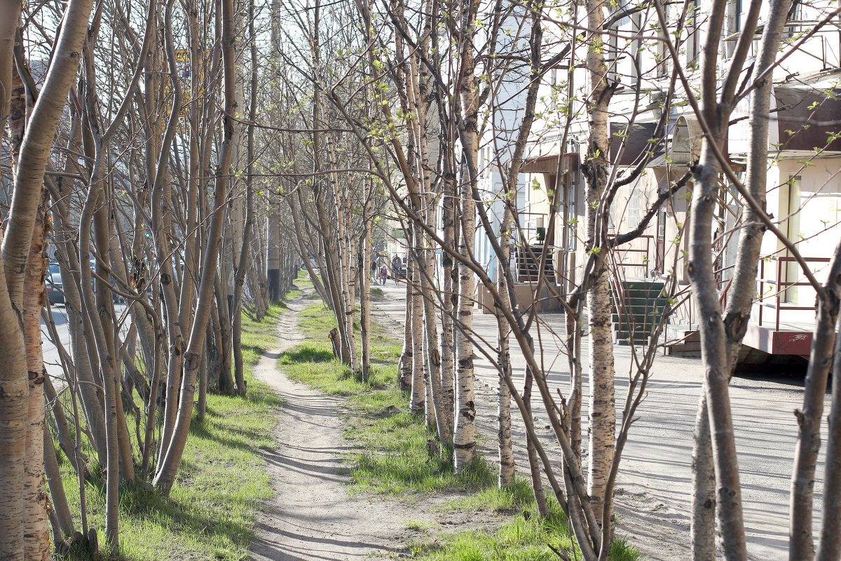 тропинка в городе - Наталья Василькова