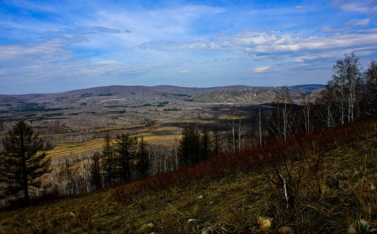 *** - Евгения Копылова