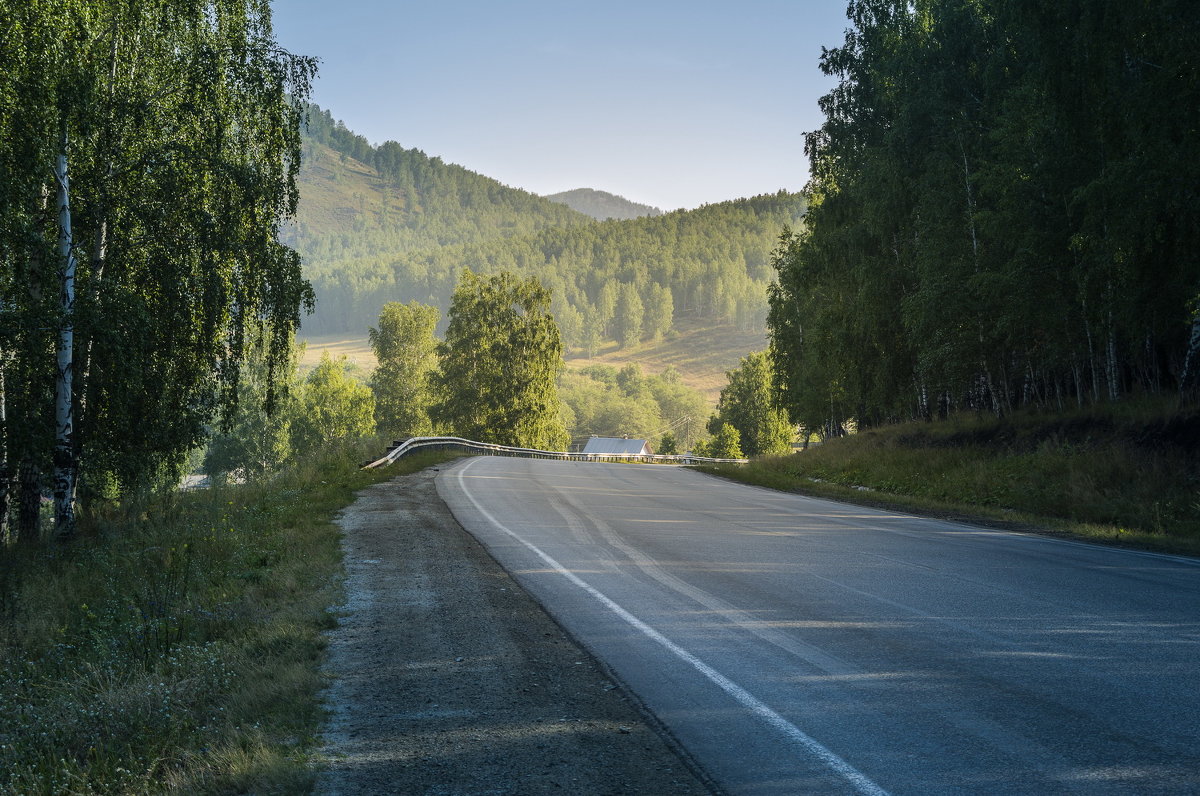 Лес горы сбоку дороги