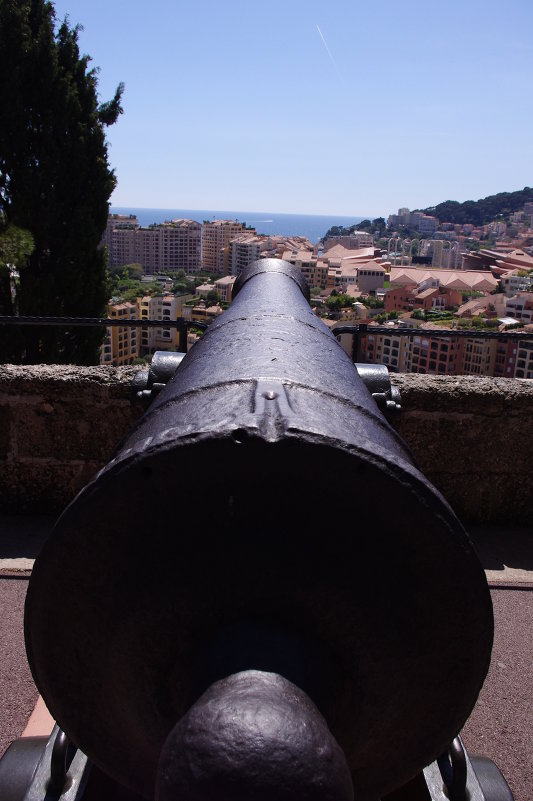 Пушки Монако всегда готовы к защите граждан. - Serb 