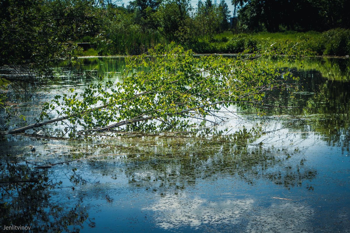 у воды - Евгений Литвинов