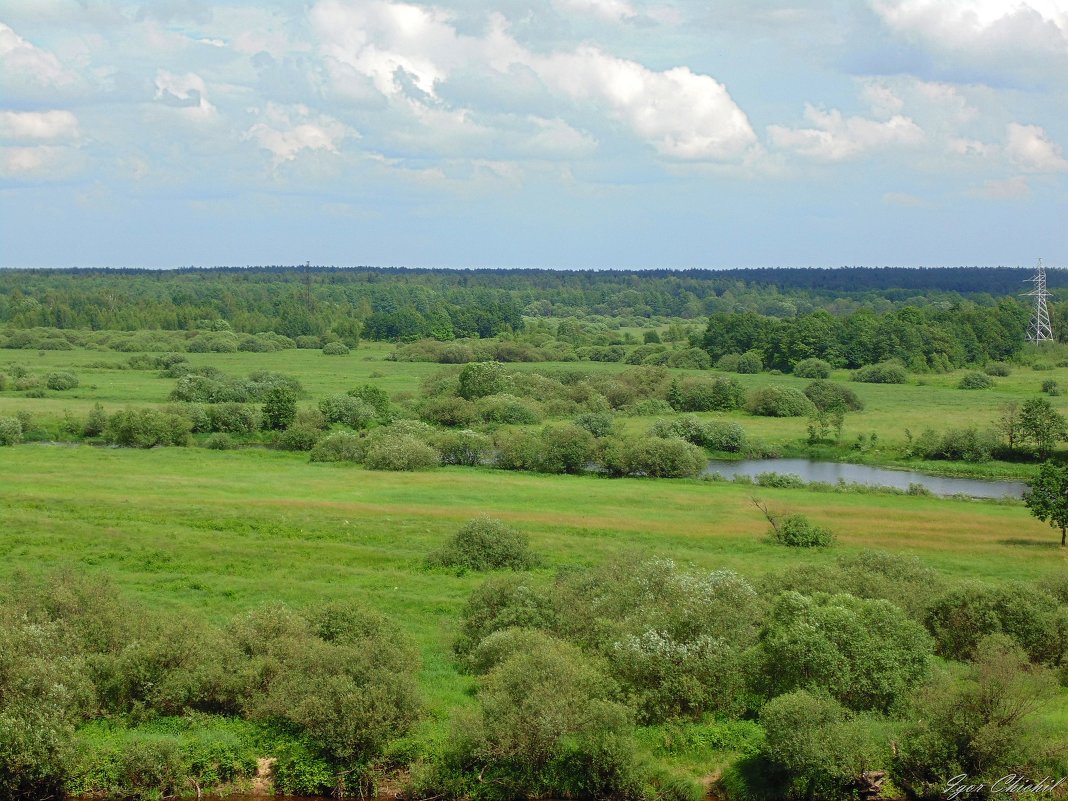 ...много в ней лесов, полей и рек - Игорь Чичиль