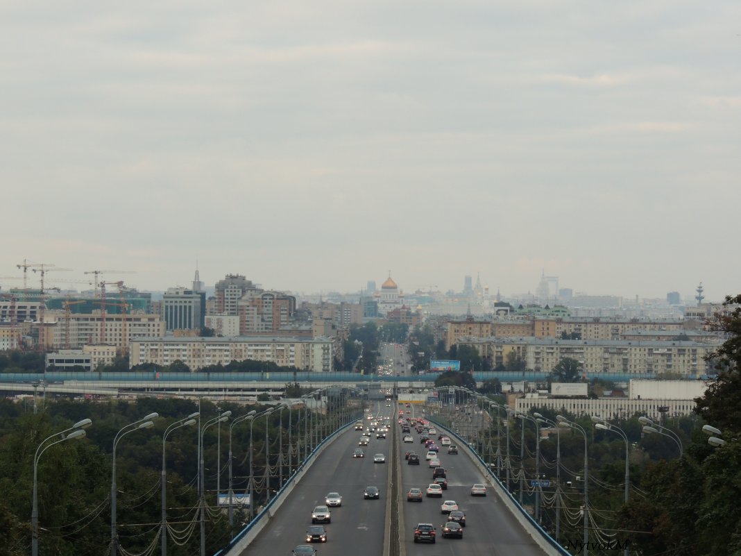 С высоты птичьего полета - Мария Нутвок