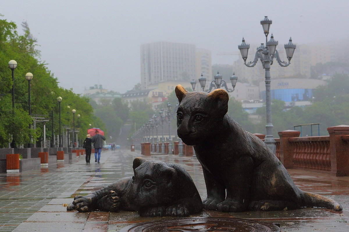 Дождь переходящий в морось. - Александр Коряковцев