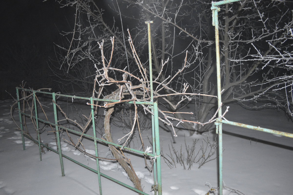Последний снег - Дмитрий Т