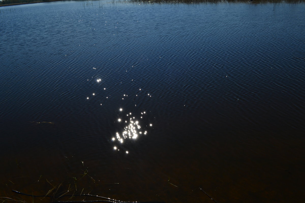 Отображение золотых лучей в озере - Евгений Пикаревский