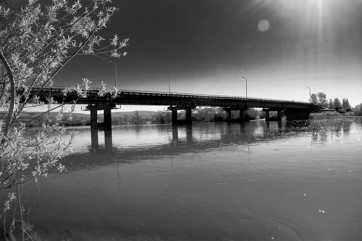 Мост - Роман 