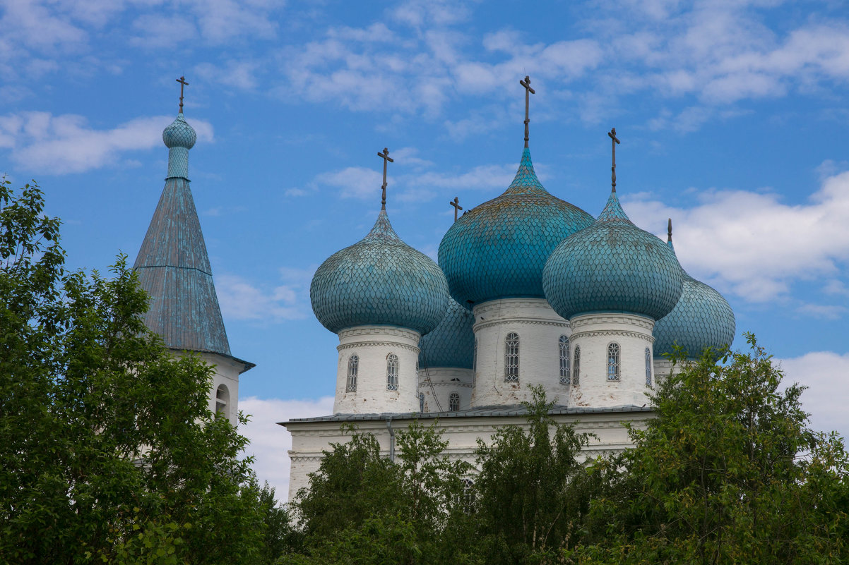 Заостровье - Наталья Федорова