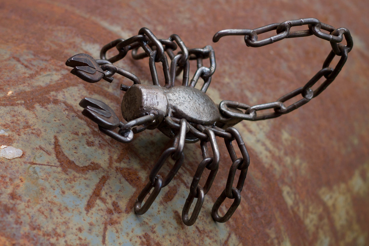 железный скорпион - Pavlusha *