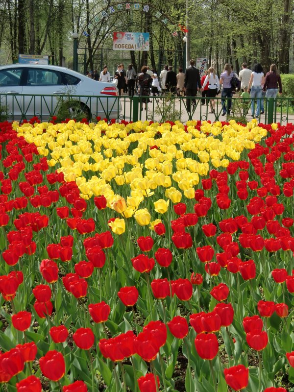 Город Западная Двина... - Владимир Павлов