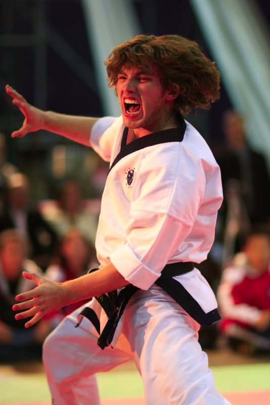 Владимир Борисов -  Attack taekwondo - Фотоконкурс Epson