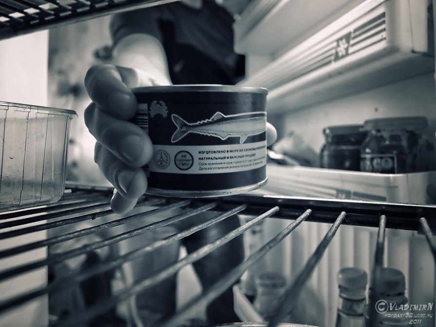 Мир глазами холодильника - Владимир Ноздрачев