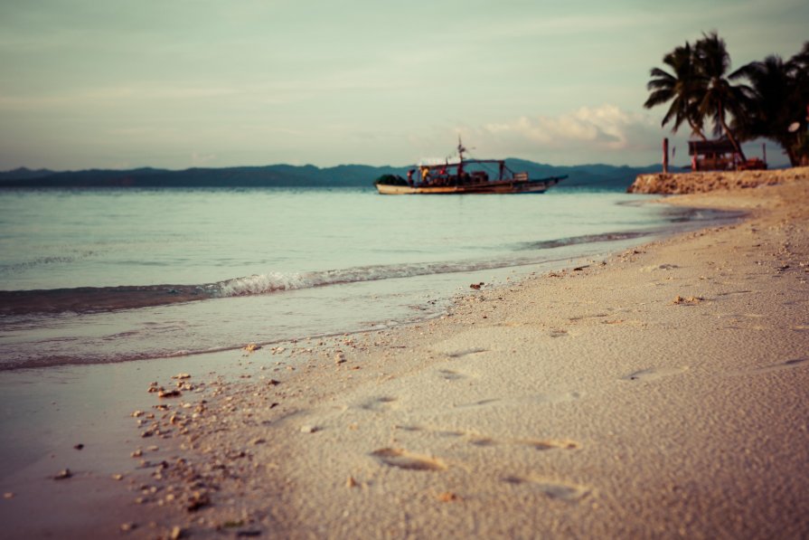 Modessa Island. Palawan. Philippine. - Eva Langue