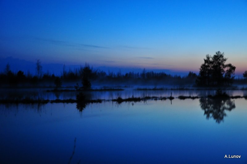 ночь на болоте... - Anatoly Lunov