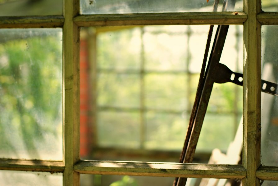 window frame - Alena Kramarenko