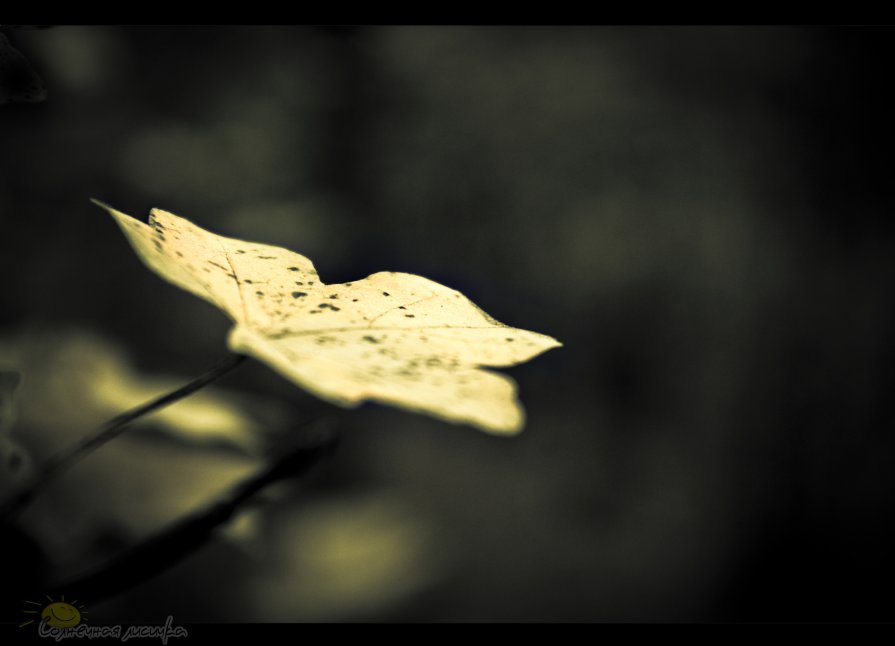 Осенний листик - Солнечная Лисичка =Дашка Скугарева